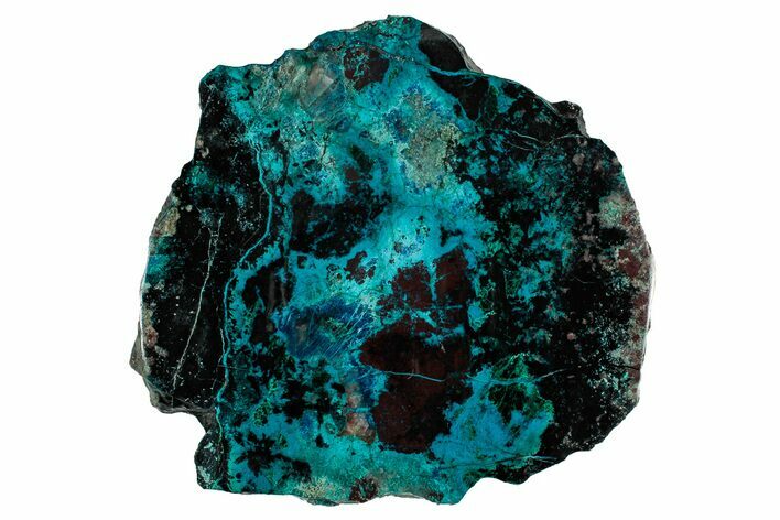 Vibrant Chrysocolla and Shattuckite Slab - Mexico #337004